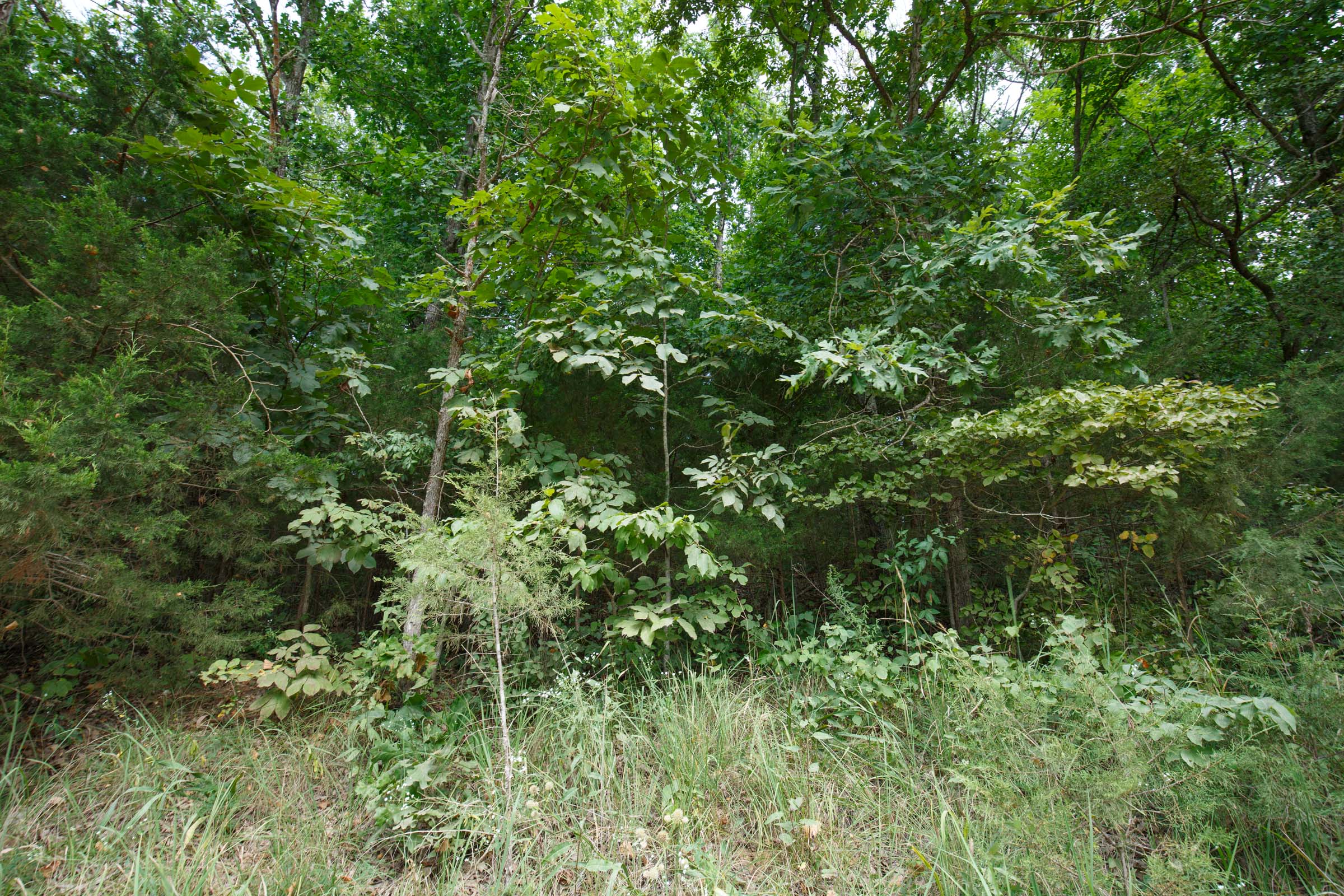 Tract 128 at Springlake in Miller County, Missouri