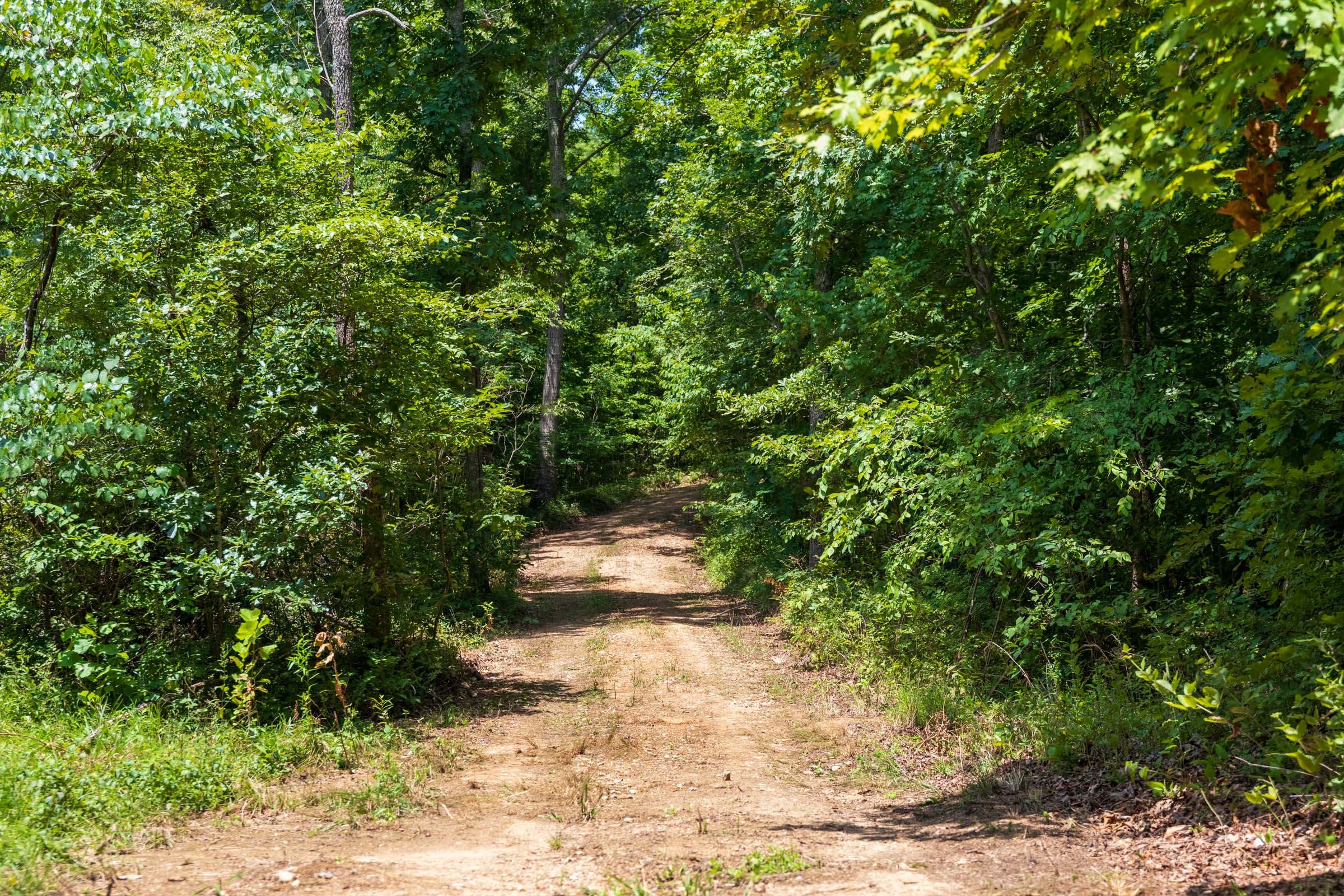 Tract 11 at Cypress Ridge in Reynolds County, Missouri