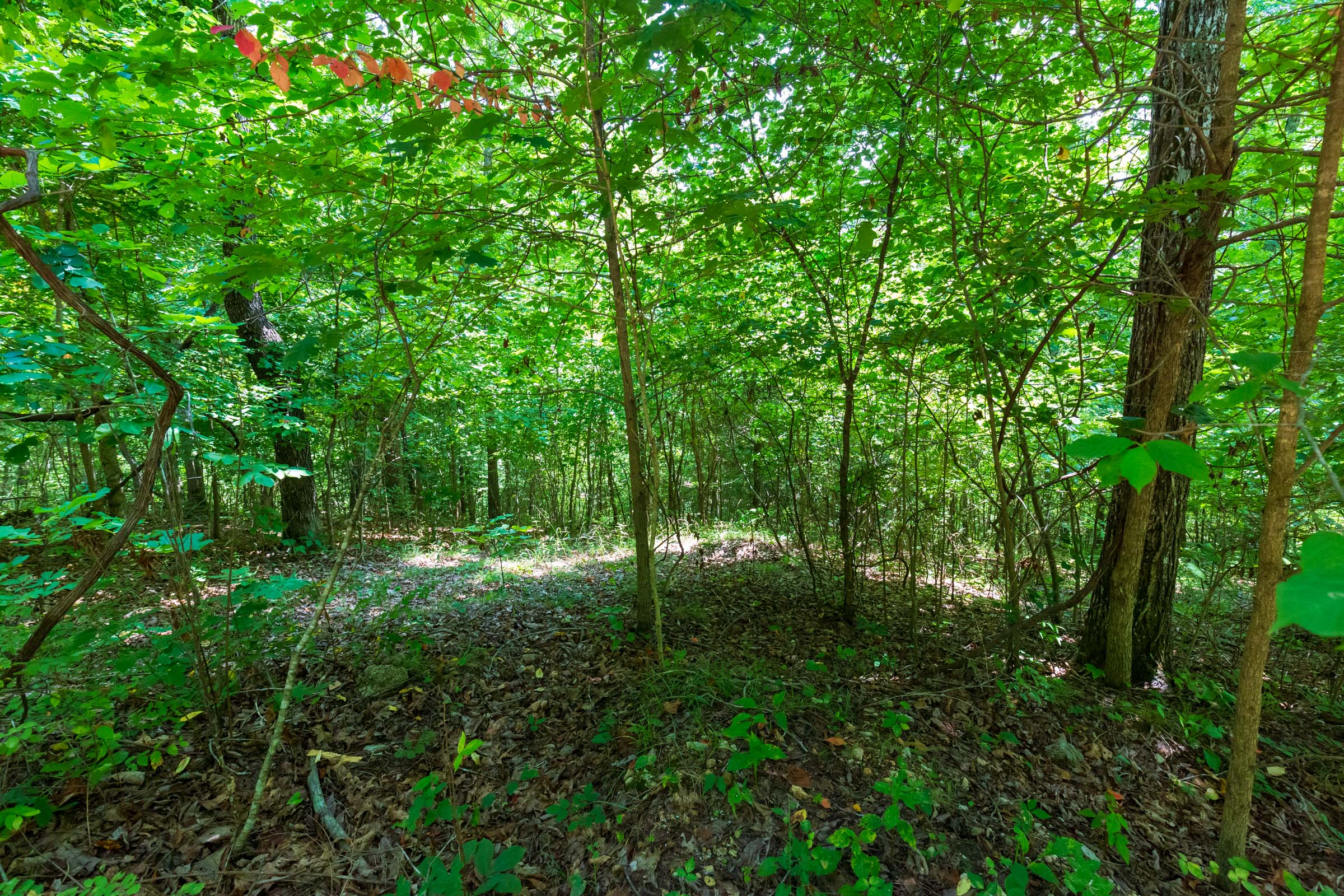 Tract 12 at Cypress Ridge in Reynolds County, Missouri