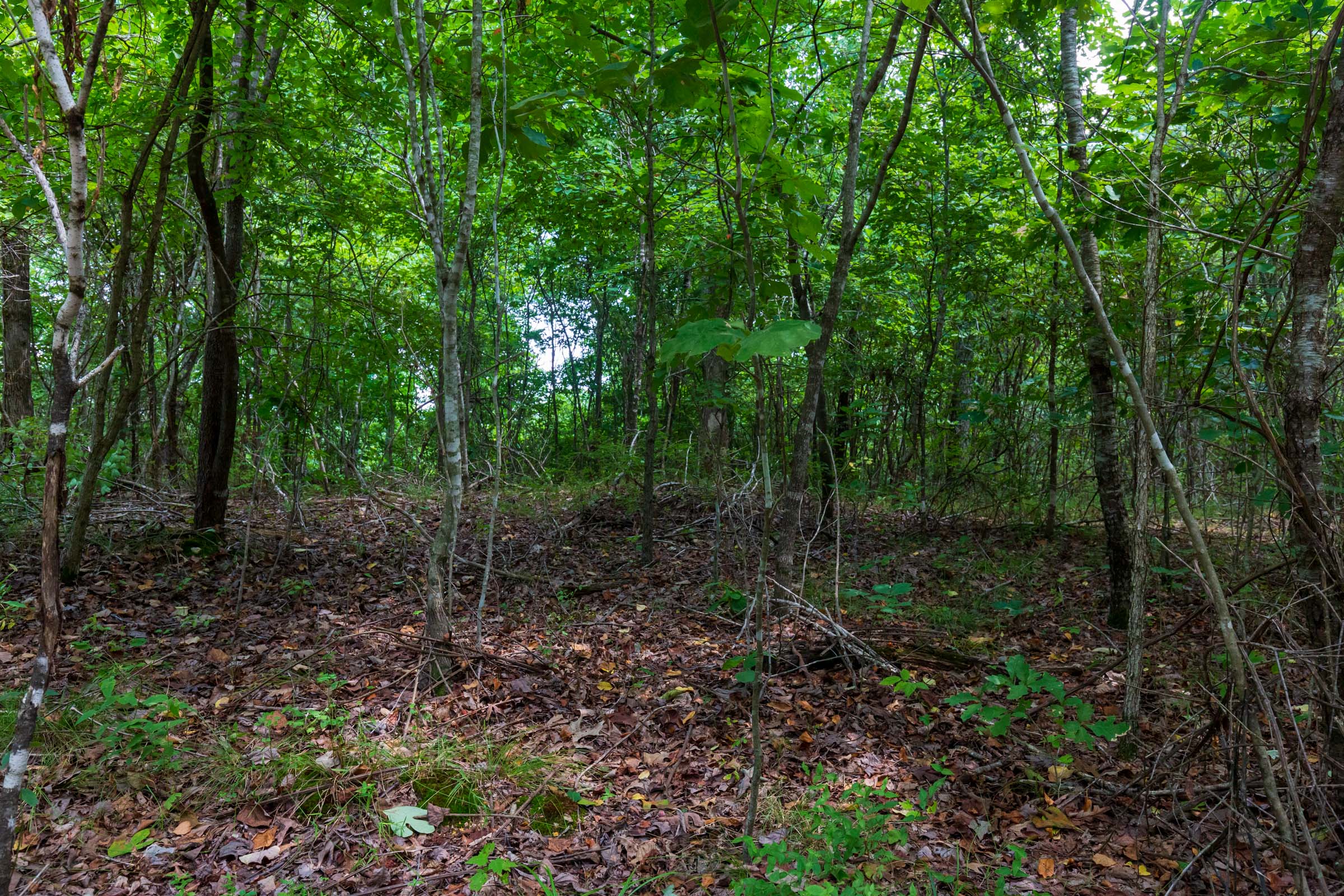 Tract 14 at Cypress Ridge in Reynolds County, Missouri