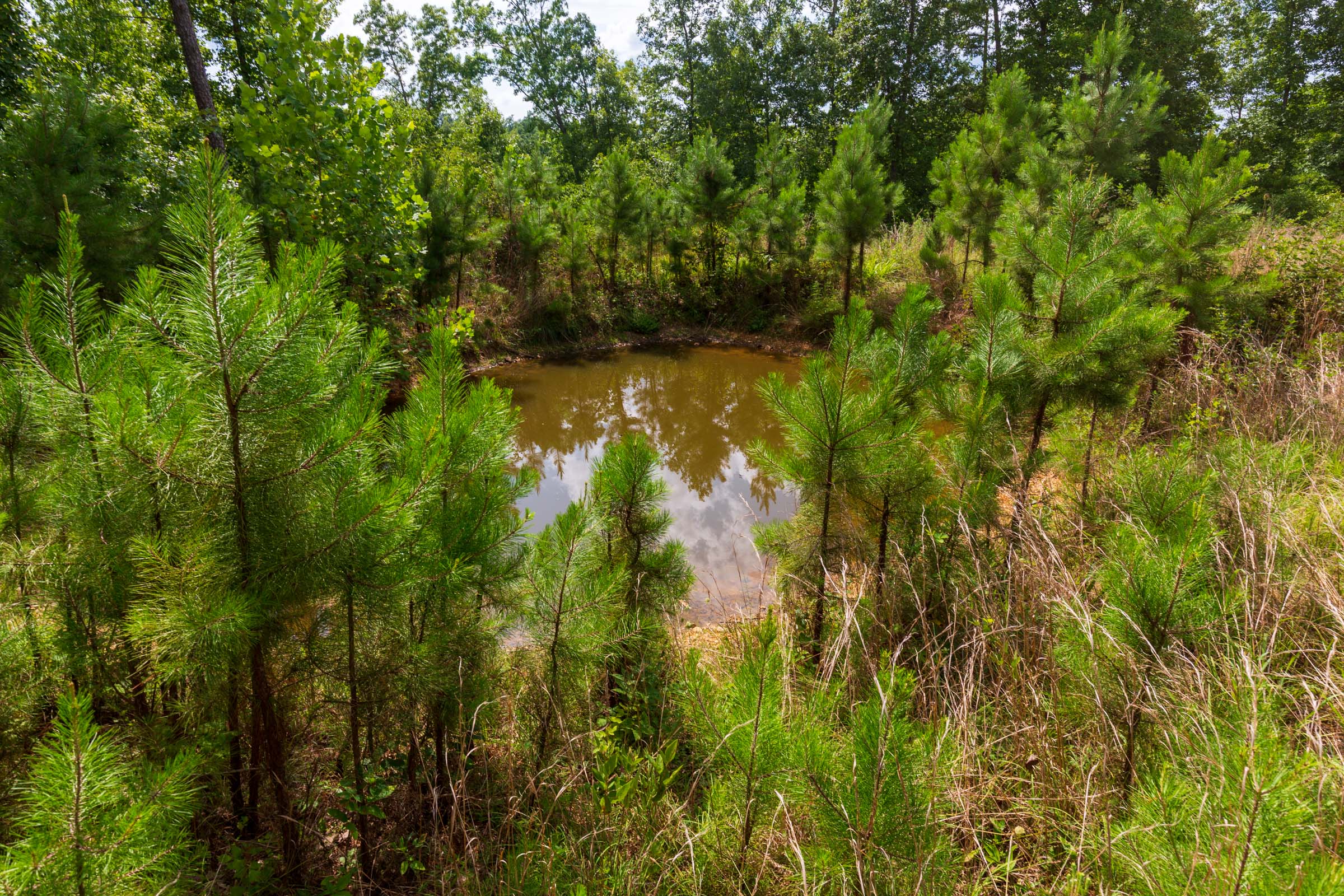 Tract 18 at Cypress Ridge in Reynolds County, Missouri