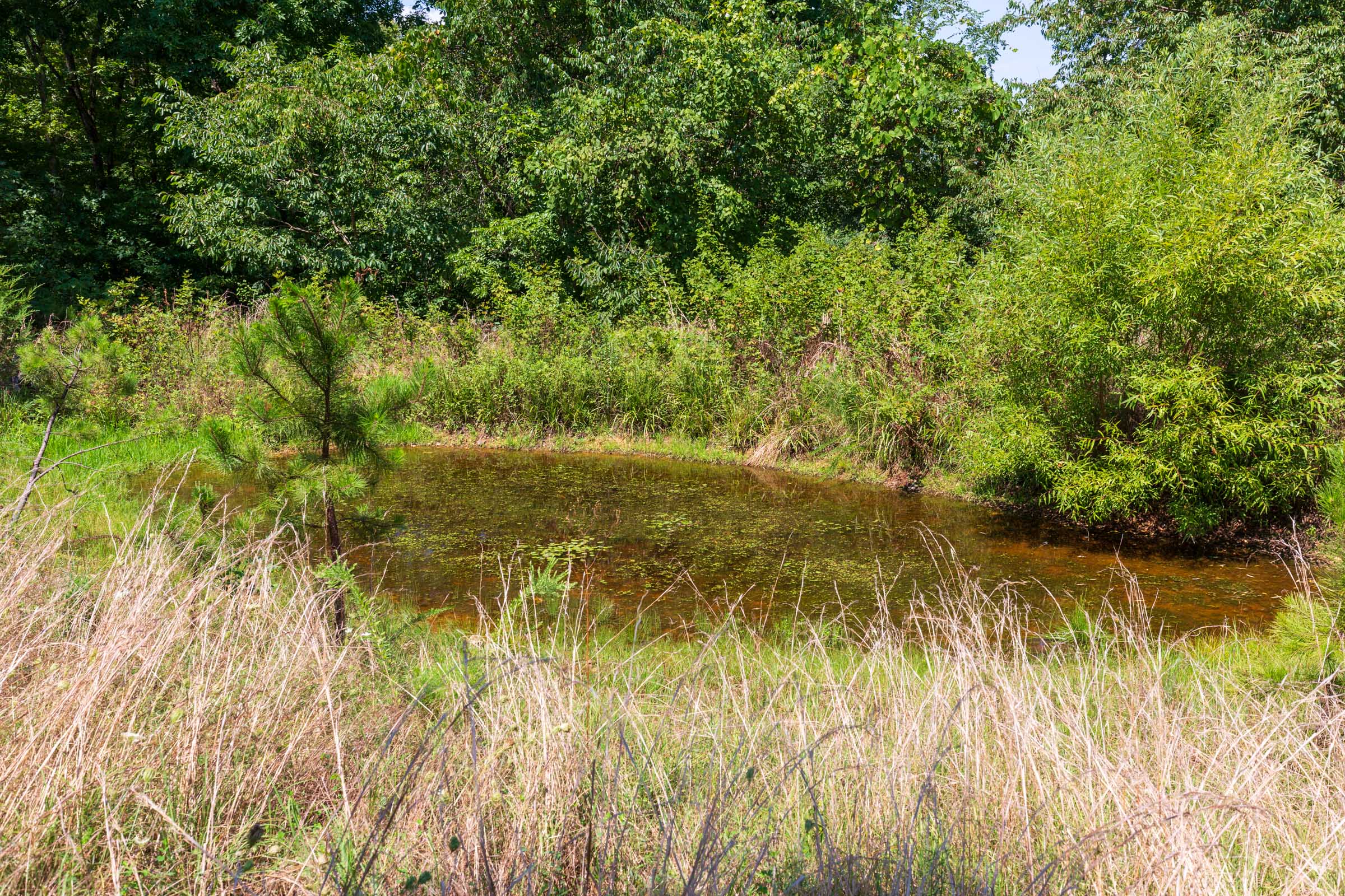 Tract 28 at Cypress Ridge in Reynolds County, Missouri