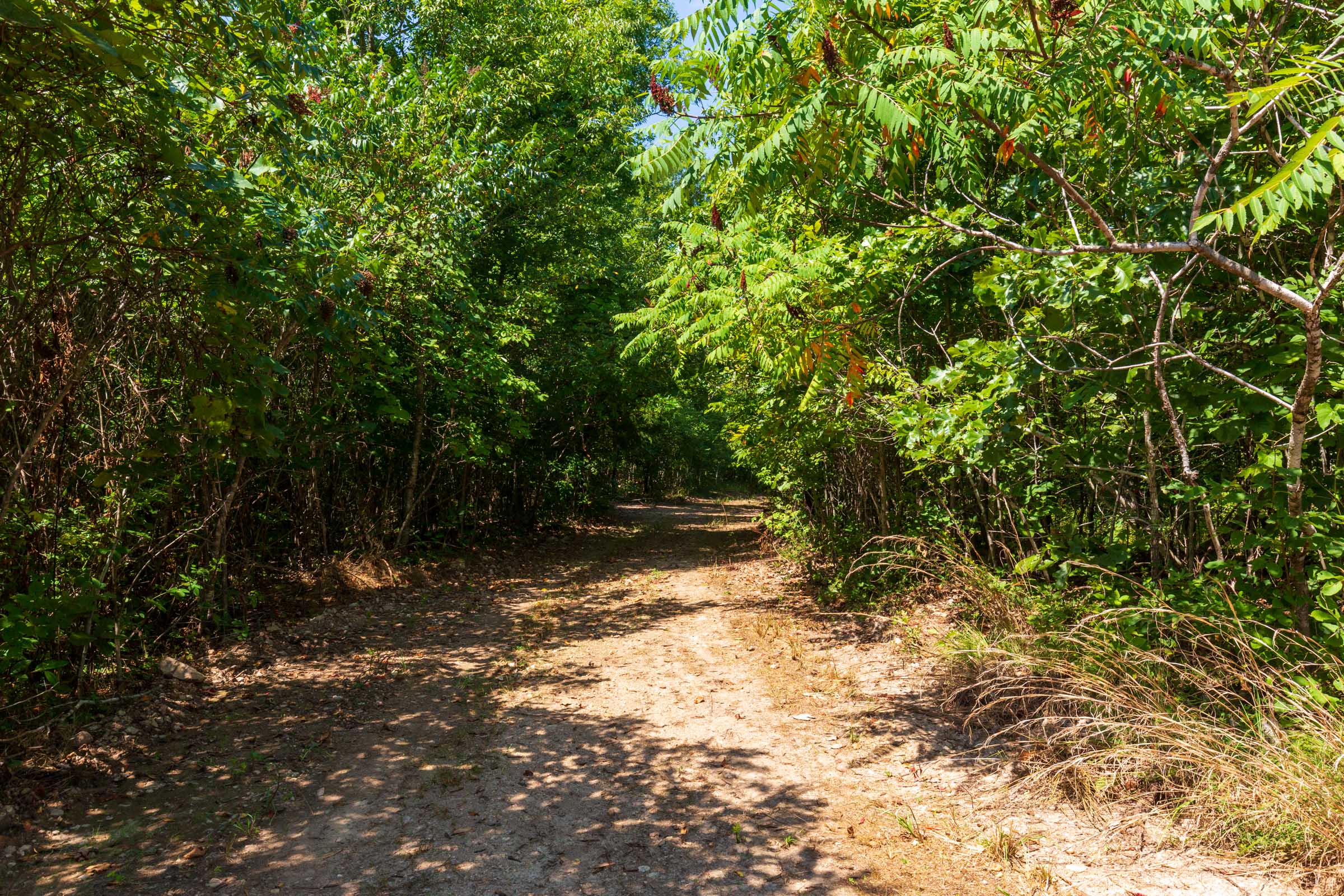 Tract 30 at Cypress Ridge in Reynolds County, Missouri