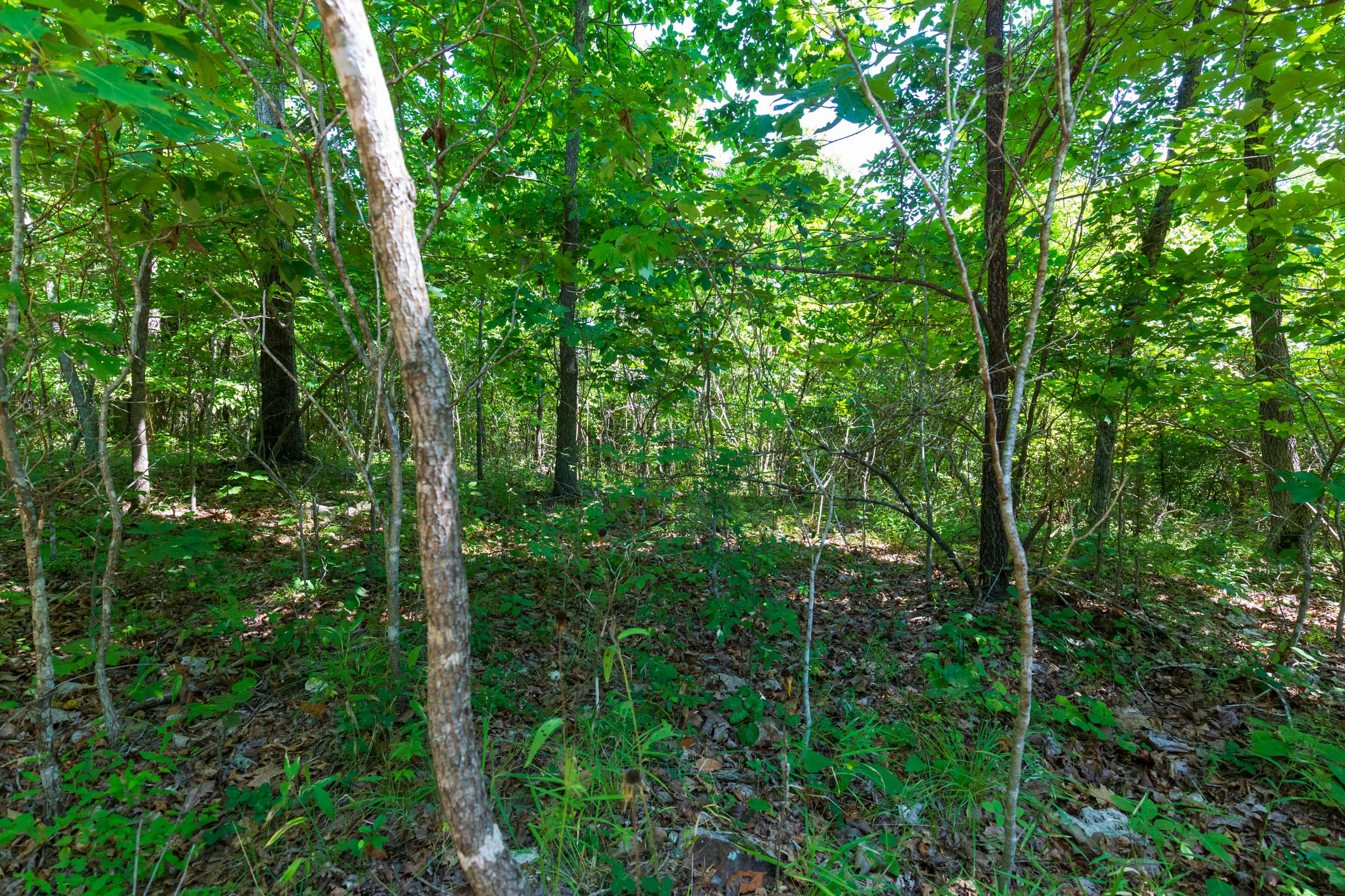 Tract 31 at Cypress Ridge in Reynolds County, Missouri