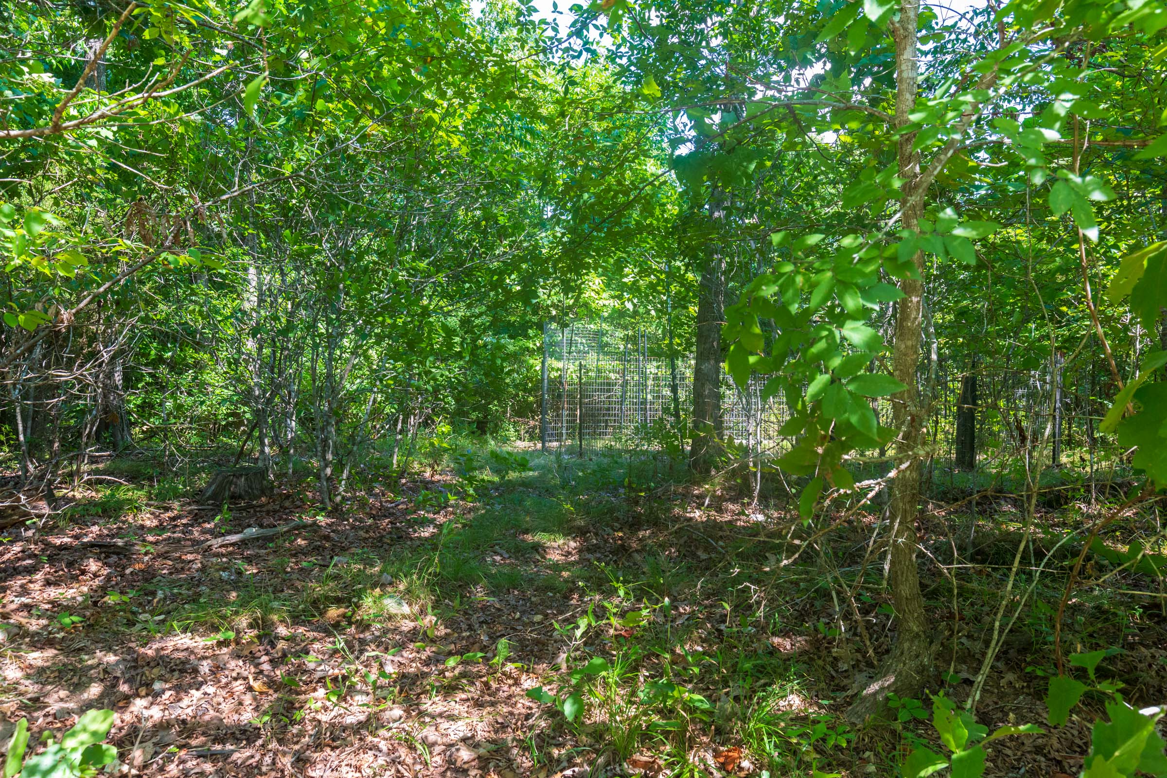 Tract 32 at Cypress Ridge in Reynolds County, Missouri