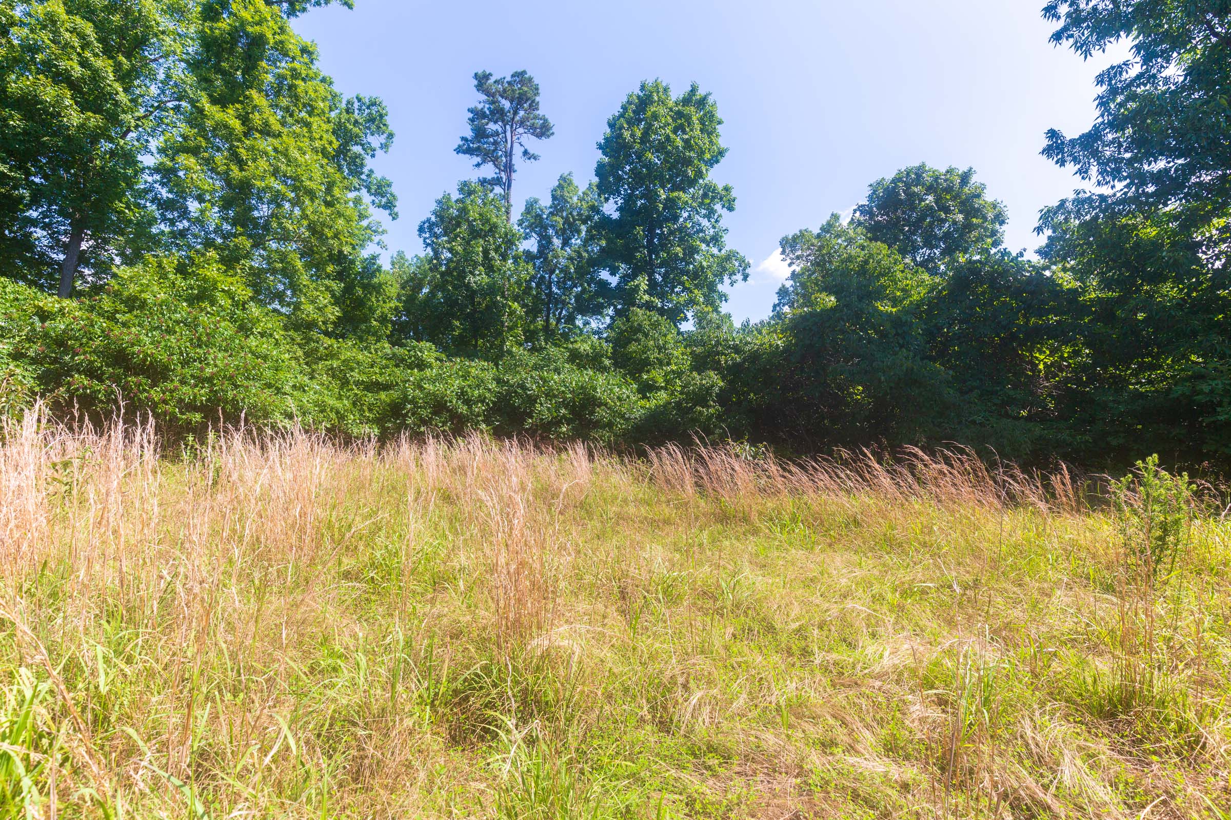 Tract 33 at Cypress Ridge in Reynolds County, Missouri