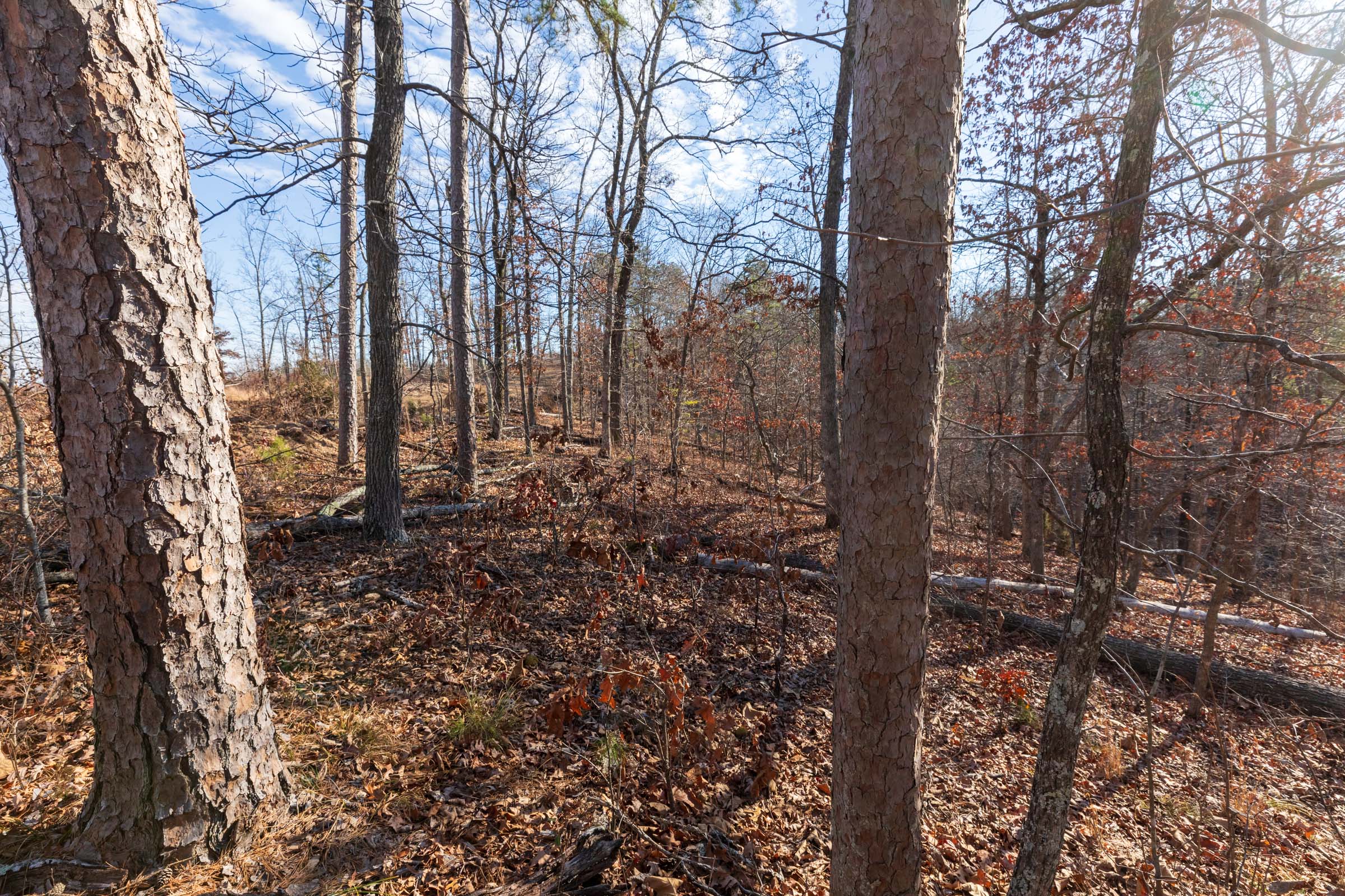 Tract 41 at Cypress Ridge in Reynolds County, Missouri