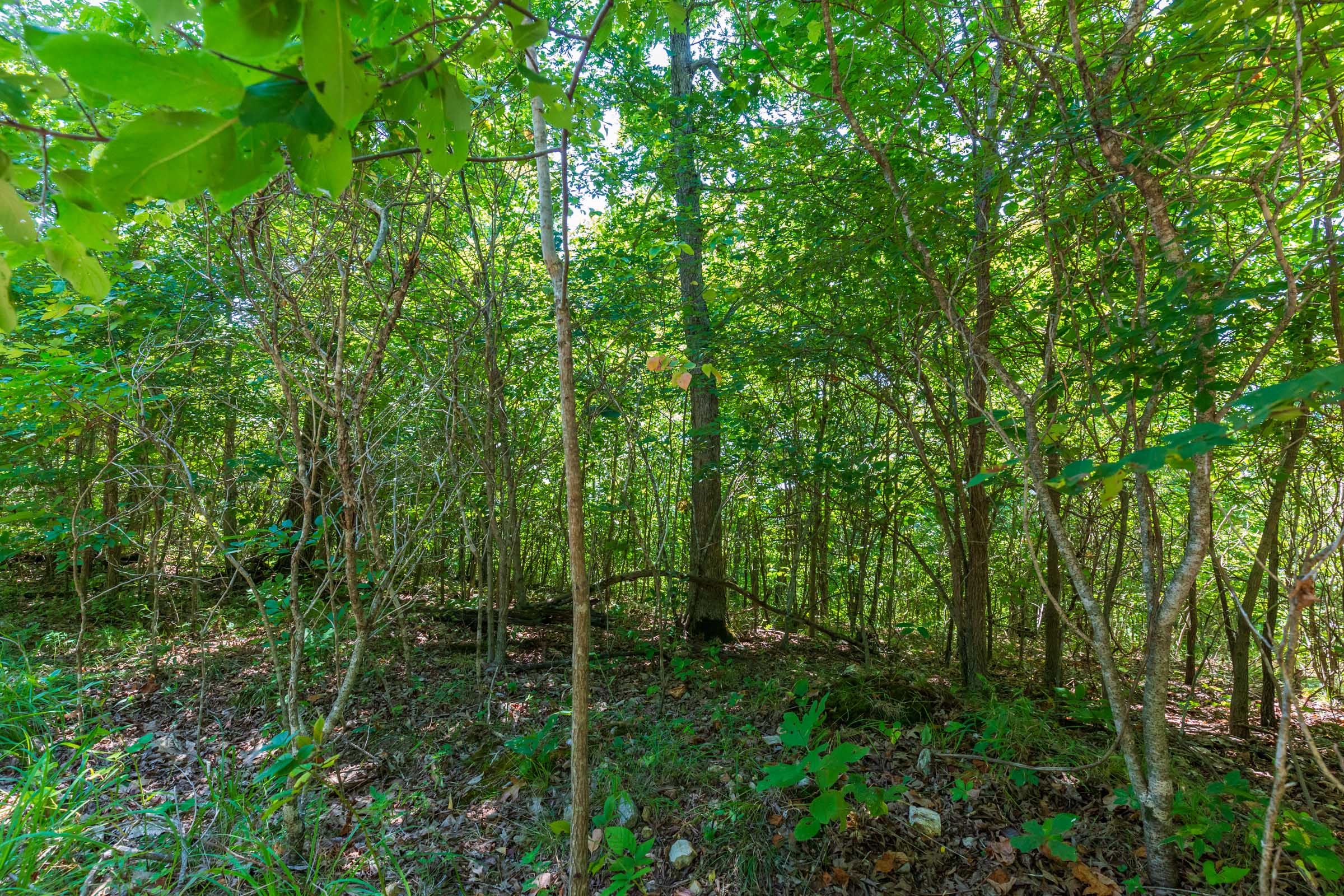 Tract 9 at Cypress Ridge in Reynolds County, Missouri